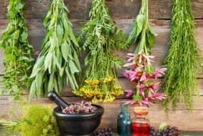 داروهای عامیانه برای افزایش قدرت
